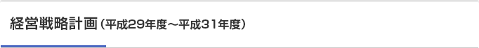 経営戦略計画